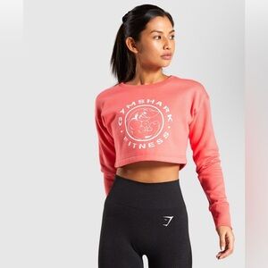 Gym Shark LEGACY FITNESS SWEATER Sz m-0188